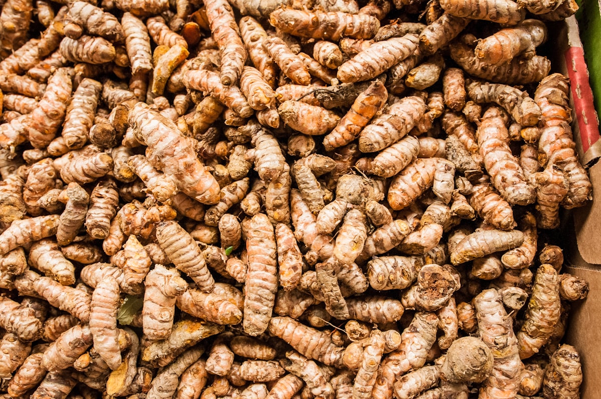 Turmeric and ginger bone broth